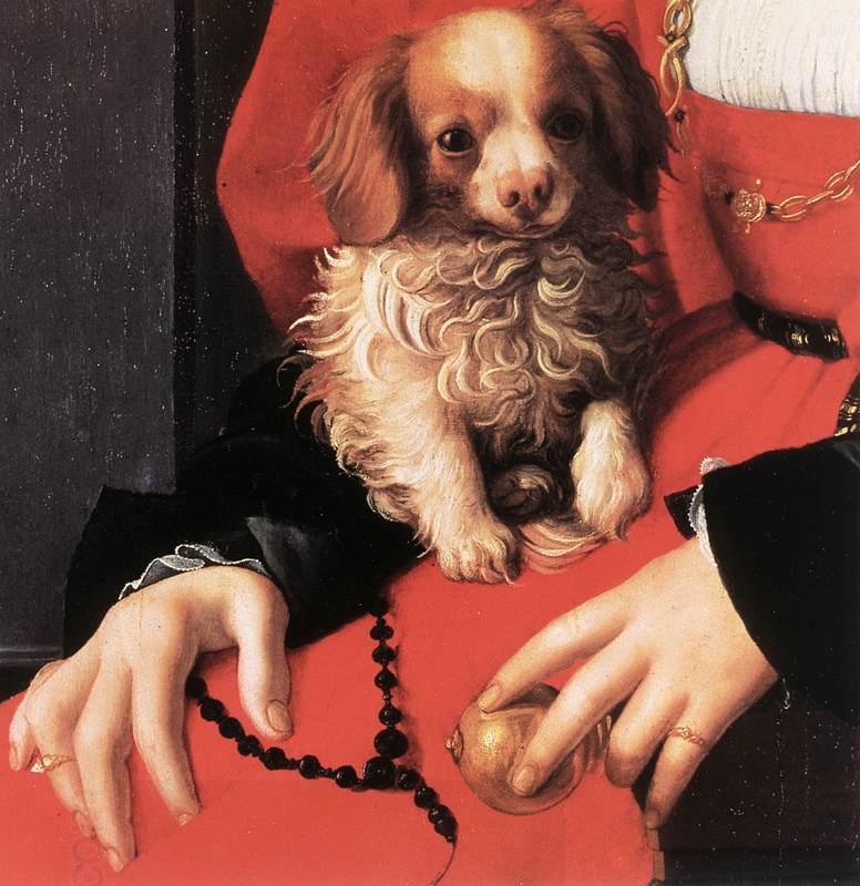 BRONZINO, Agnolo Portrait of a Lady with a Puppy (detail) fg China oil painting art